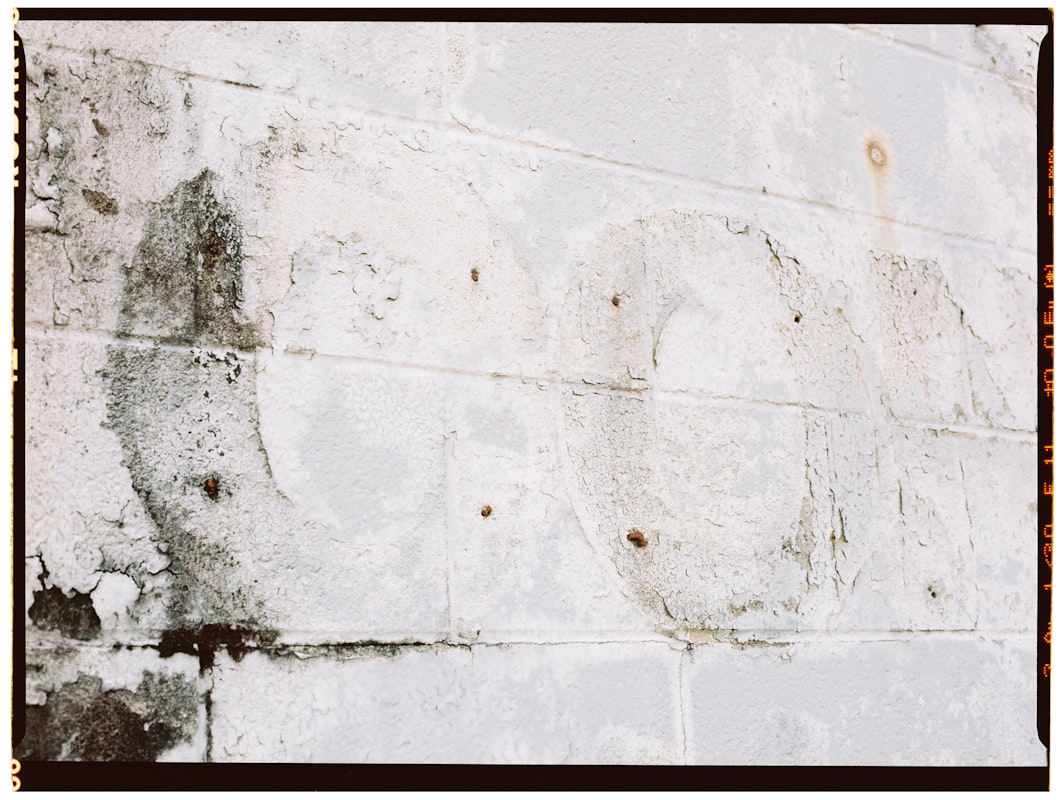 Flood Cleanup service in Fort Collins, CO