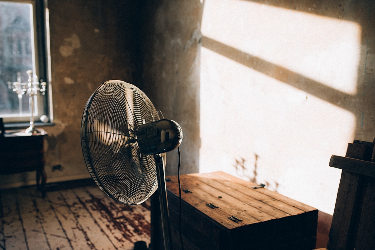 Mold Remediation service in Fort Collins, CO