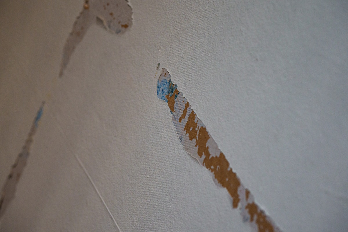 Basement Water Removal service in Fort Collins, CO